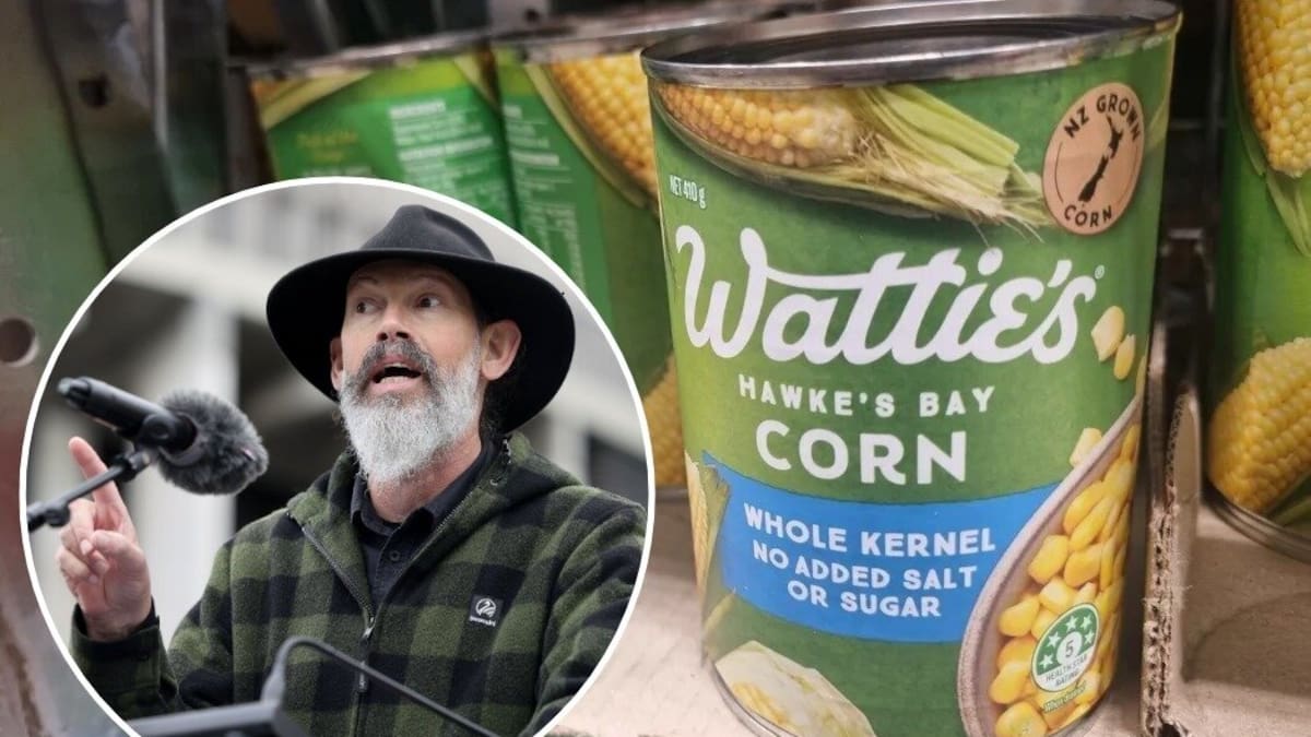 Greens call for ‘urgent inquiry’ into Heinz Wattie’s and McCain plant closures