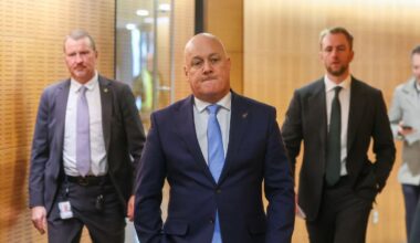 Election 2026: National trails Labour on key cost-of-living issue, but gaining ground as Government sees rating rebound