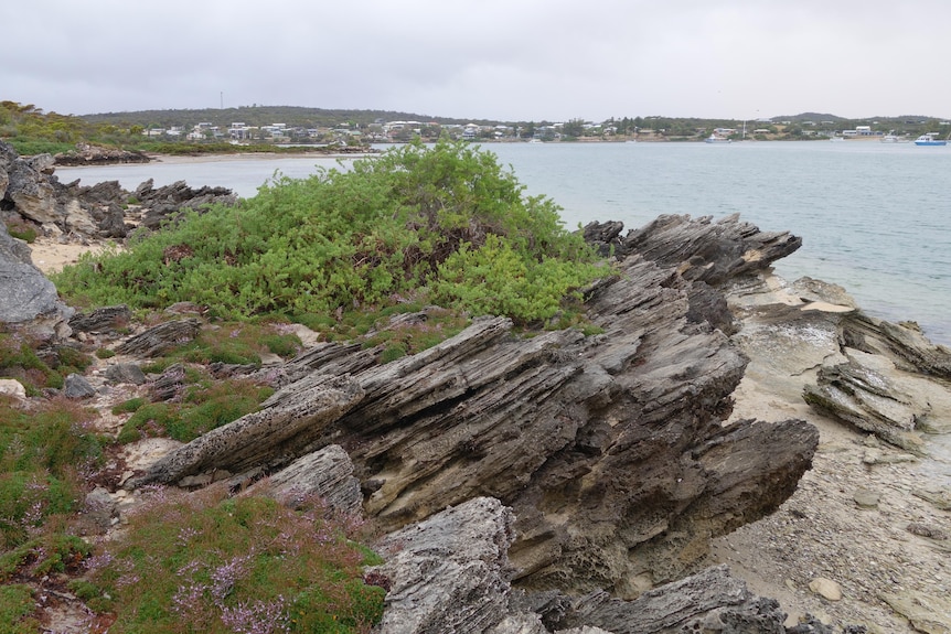 Coastal scene with rocky outcrop in the foreground and coastal bay in the background