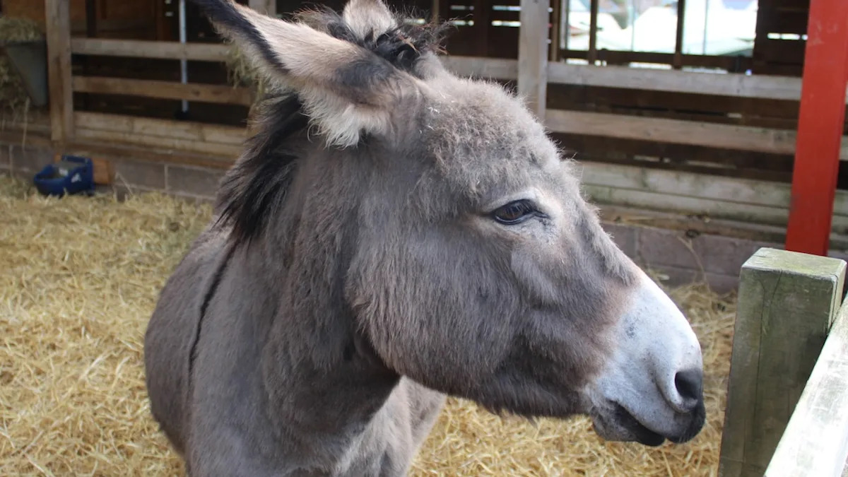 Yahoo lifestyle home