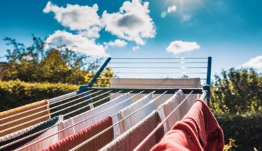 Households urged to follow '12pm rule' when drying clothes outdoors