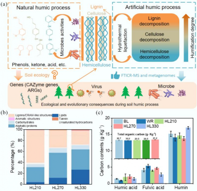 From straw to soil signals: How humification reshapes microbial life and resistance genes