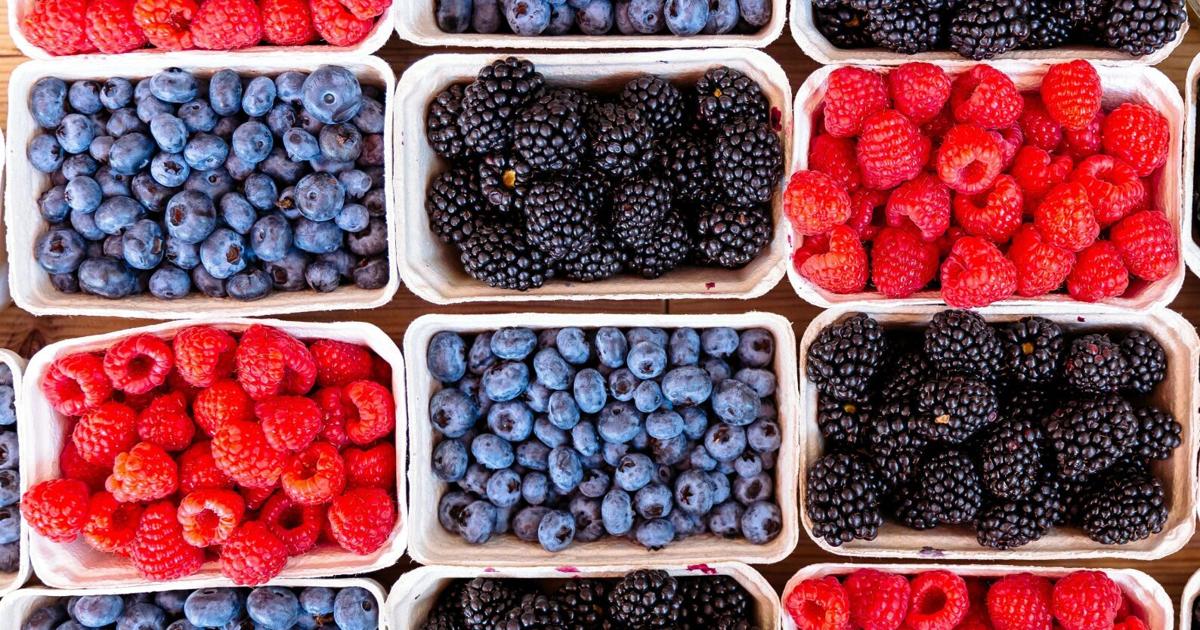 Brain aging slowed by over 2 years with unique diet | News