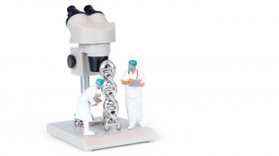 Mutant Gene Behind Aggressive Adult Leukemia Offers New Clues for Treatment