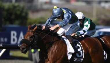 Horse racing: Waikato stud farms join forces to keep Savaglee in New Zealand