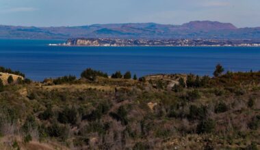 The dilemma of what happens when a human tsunami reaches Napier Hill – Martin Williams