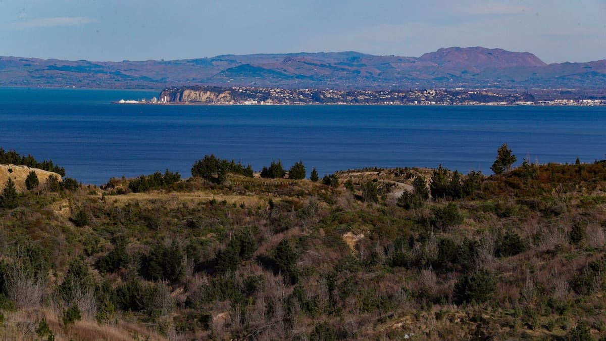 The dilemma of what happens when a human tsunami reaches Napier Hill – Martin Williams