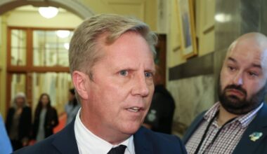 Why a global trade shake-up may be the World Trade Organisation’s only lifeline – Fran O’Sullivan