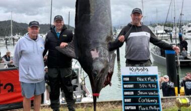 Coromandel anglers land 384.9kg black marlin in Billfish Classic record
