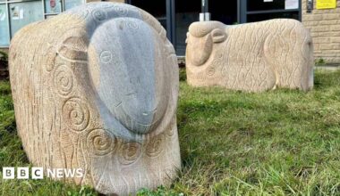 Two large carved stone sheep stand on a patch of grass in front of a brick building, each decorated with swirling patterns cut into their bodies. One sheep is darker and more detailed, while the other is lighter and simpler, with signs and windows from nearby offices visible behind them.