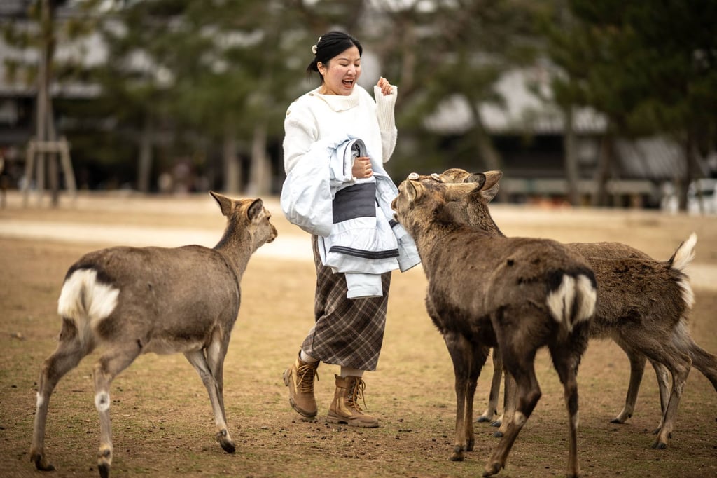 A visitor interacts with deer at Nara Park. Local authorities have warned against agitating the animals. Photo: AFP