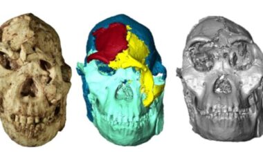 The Jerusalem Post - Israel News