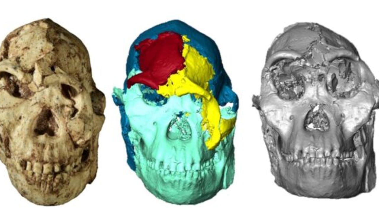 The Jerusalem Post - Israel News