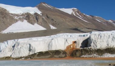 The Jerusalem Post - Israel News