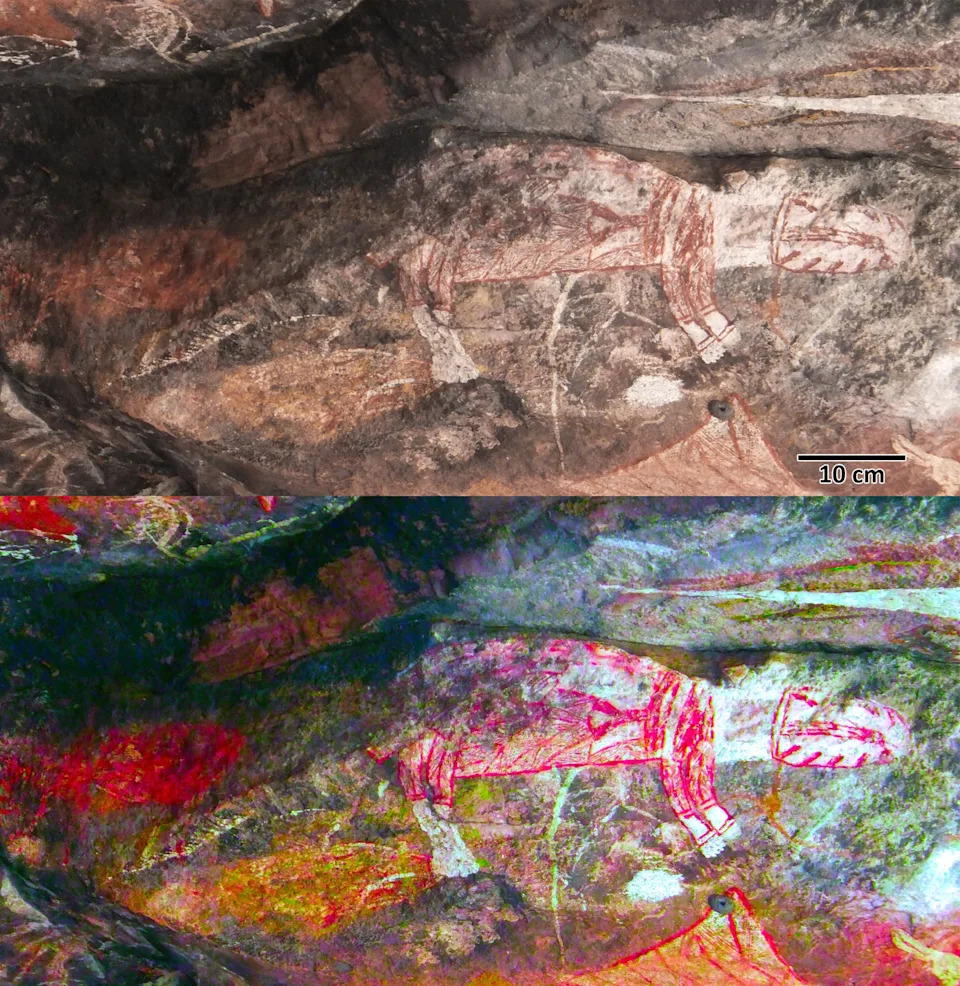 Top: A red and white painting of a Tasmanian tiger at Injalak Hill. Bottom: An enhanced version of the image to show detail.
