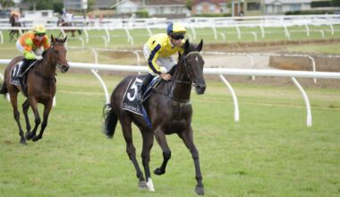 Panther starting in NZB Kiwi next chapter in special story for owners