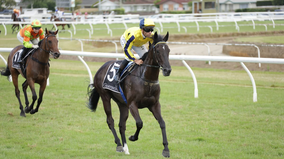 Panther starting in NZB Kiwi next chapter in special story for owners