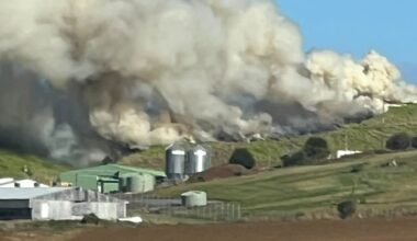 Vegetation fire breaks out near chicken farm in Tuakau