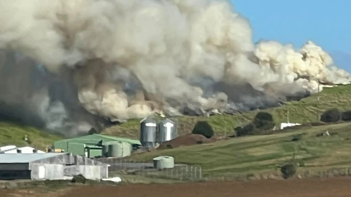 Vegetation fire breaks out near chicken farm in Tuakau