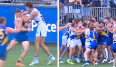 ‘Dog’ act sparks massive melee between Eagles and Kangaroos