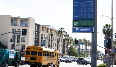 Those job numbers tell us that Trump's economy really stinks