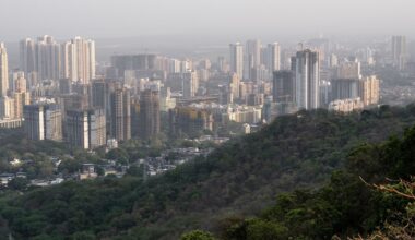 One Health approaches to prevent urban yellow fever spillover and spread