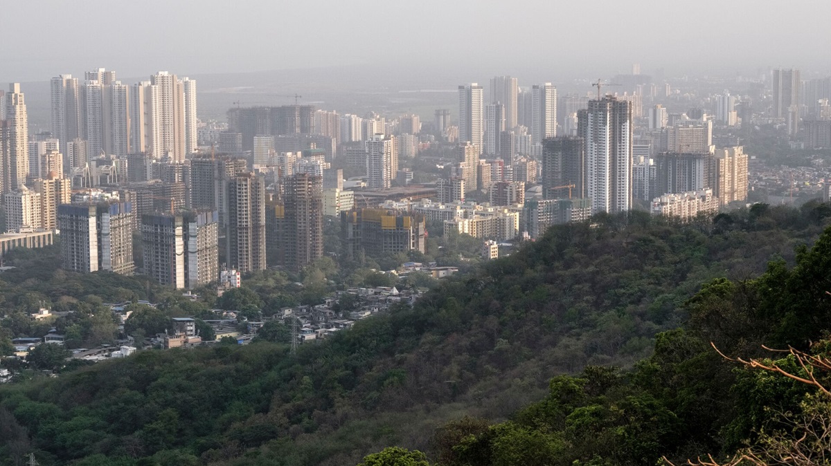 One Health approaches to prevent urban yellow fever spillover and spread