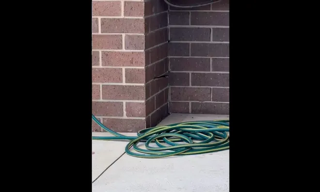 Can you spot the snake?