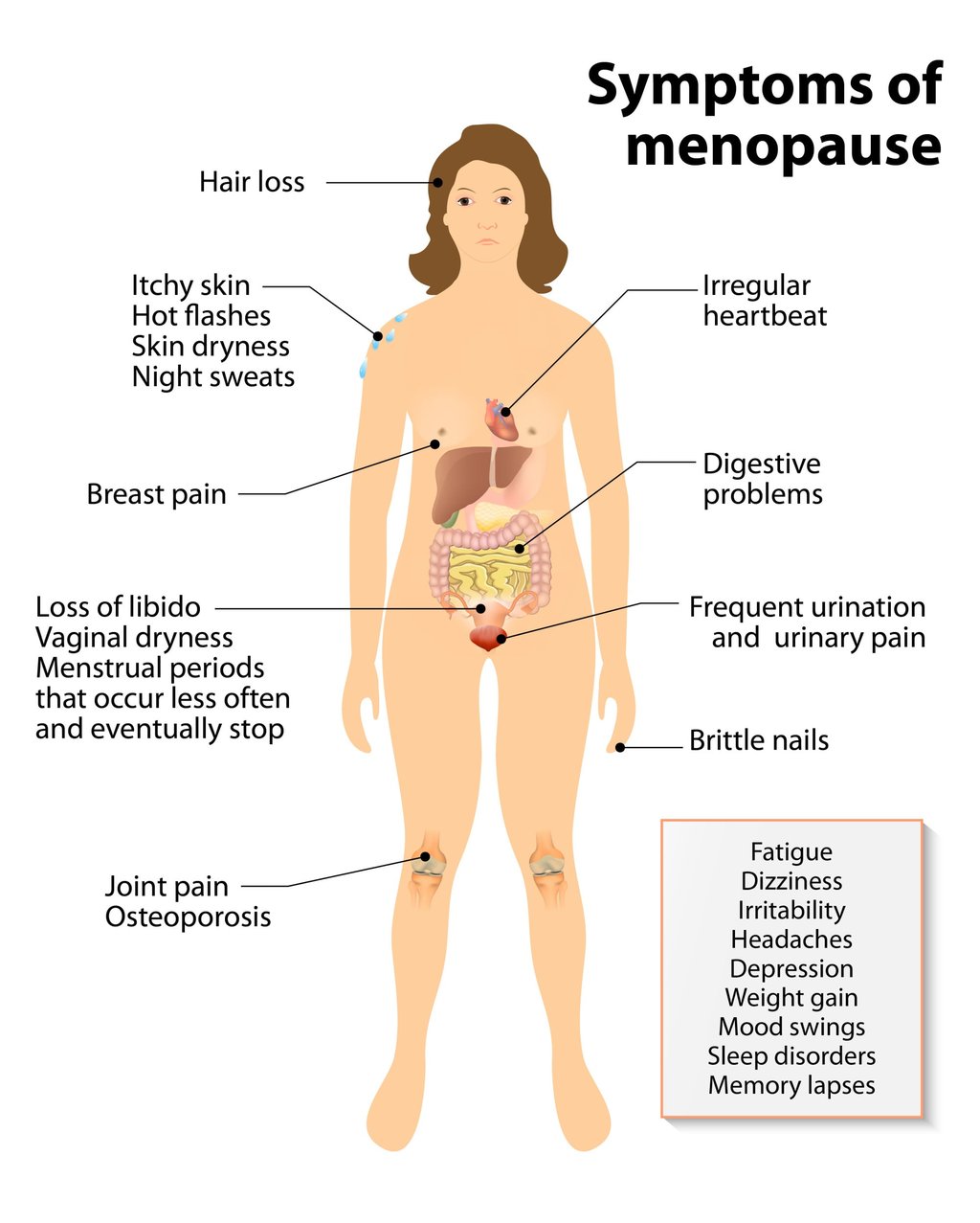 Menopause symptoms range from hot flushes to joint pain to digestive problems. Photo: Shutterstock