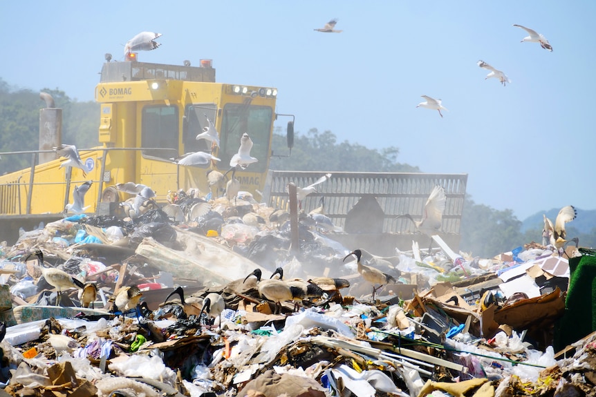 A dozer at the Reedy Creek landfill site on the Gold Coast
