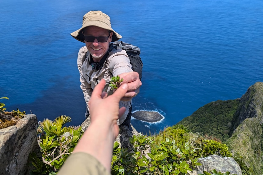 Man accepts small bunch of leaves from outstretched hand in point of view on cliff edge