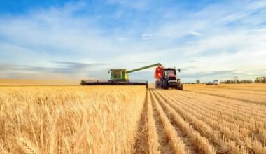 How supply shocks threaten American crops