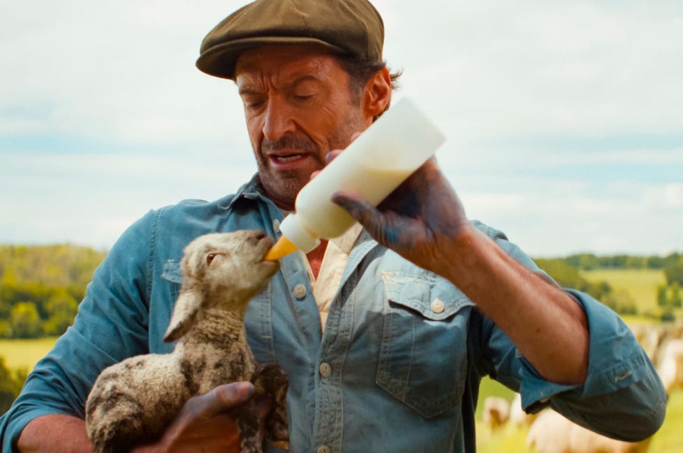 hugh jackman, the sheep detectives