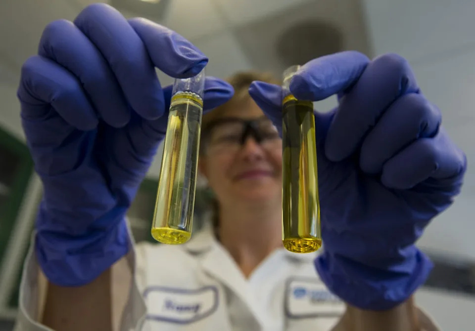 Vials of oil containing Omega-3 fatty acids. Taking fish oil and other supplements can improve brain health - but are they safe? (AFP via Getty Images)