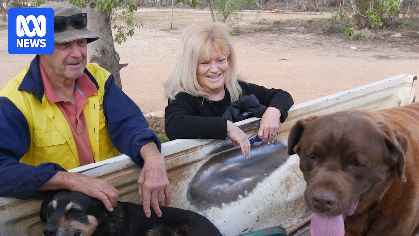 Regional patient 'effectively ramped' for almost three days waiting for care