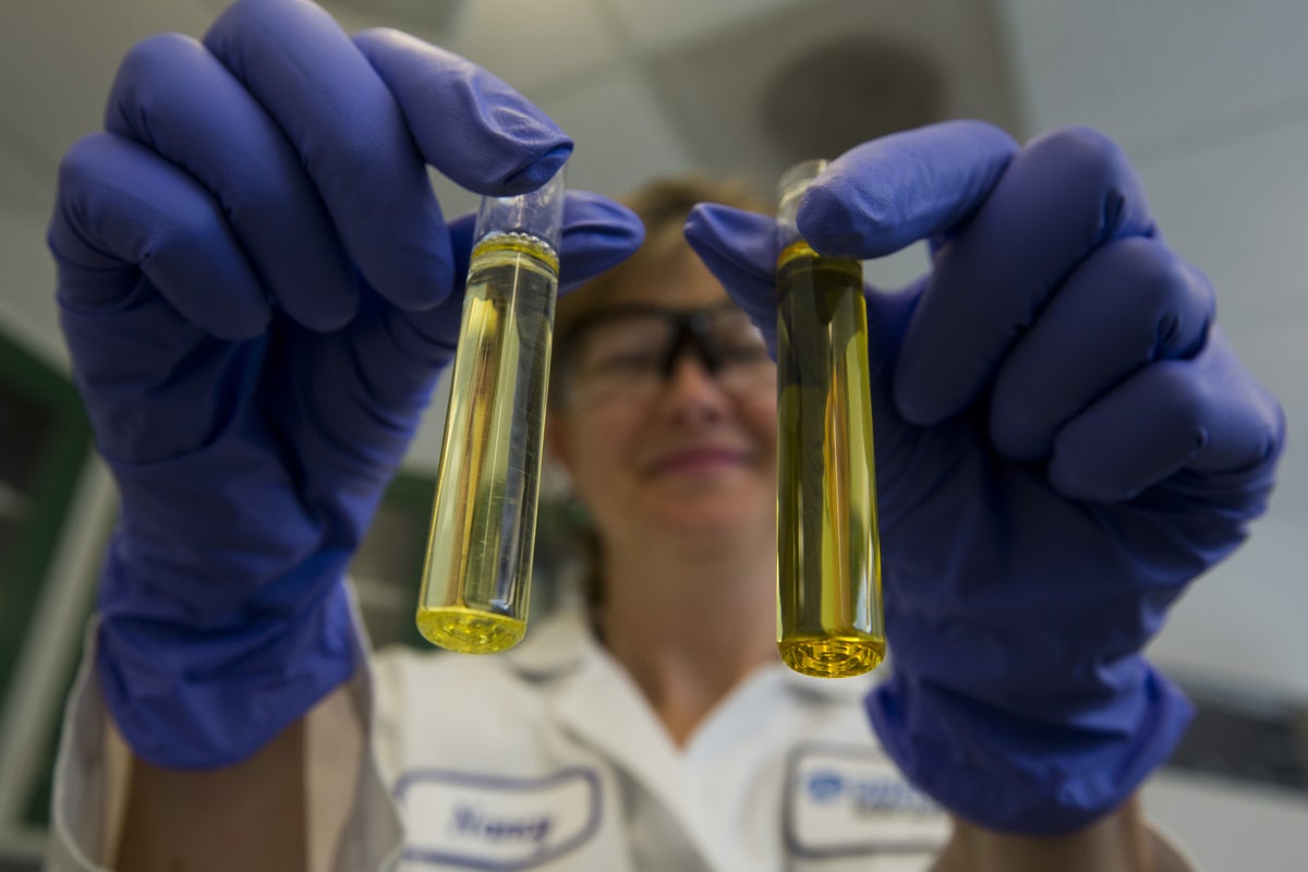 Brain supplements have become a social media wellness trend - but are they safe to take?