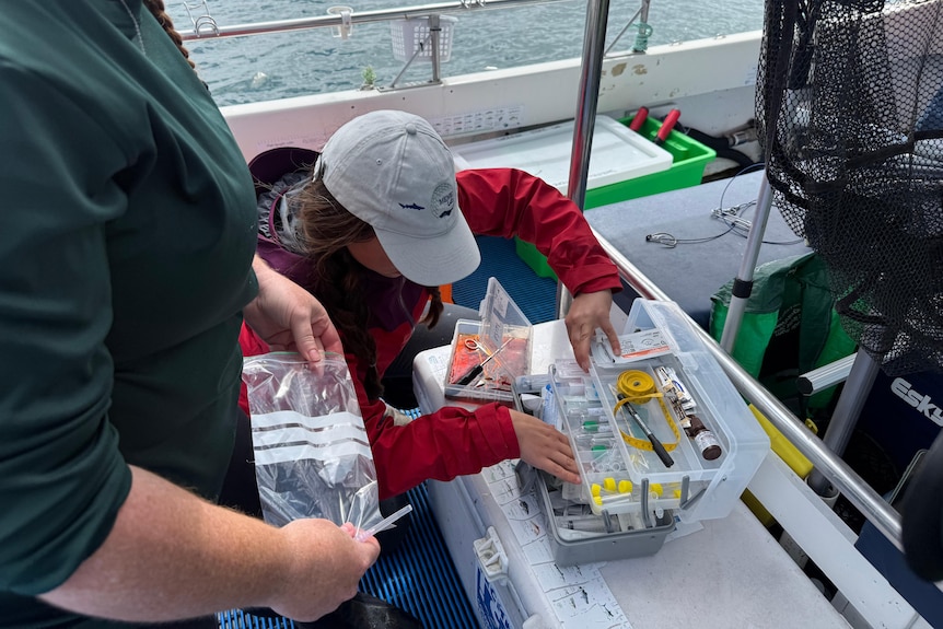 two people wearing spray jackets rustling within a plastic box containing blood and tissue samples and medical devices.