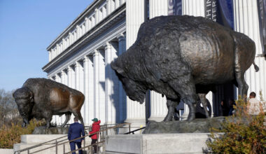 Bison statues cast in bronze are on permanent display outside the Smithsonian's National Museum of ...