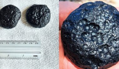 Rare Glass Blobs in Brazil Reveal an Ancient Impact, But Something Is Missing : ScienceAlert