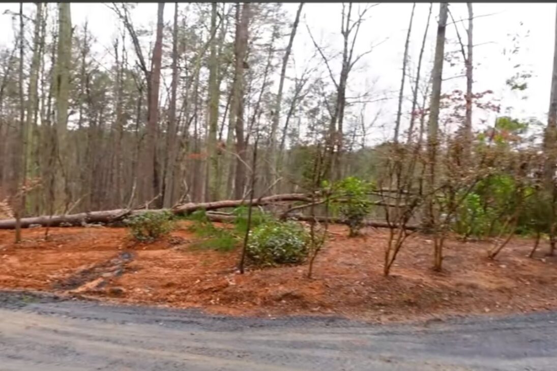 A natural pool with an excavation, waterfall, biological filter, and giant rocks shows how the island has become a bathing area.