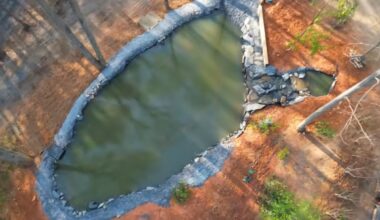 After felling 15 pine trees and digging non-stop, family transforms island into 7-foot-deep natural pool, with waterfall, biological filter, inner walls, giant rocks (4)