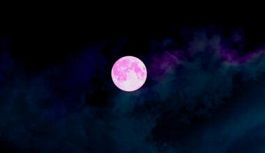 April's Full Pink Moon Invites You to Create a Fresh Start for Spring