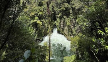 Rotorua whitewater rafting death: Coroner releases findings in Vivienne Pincott case