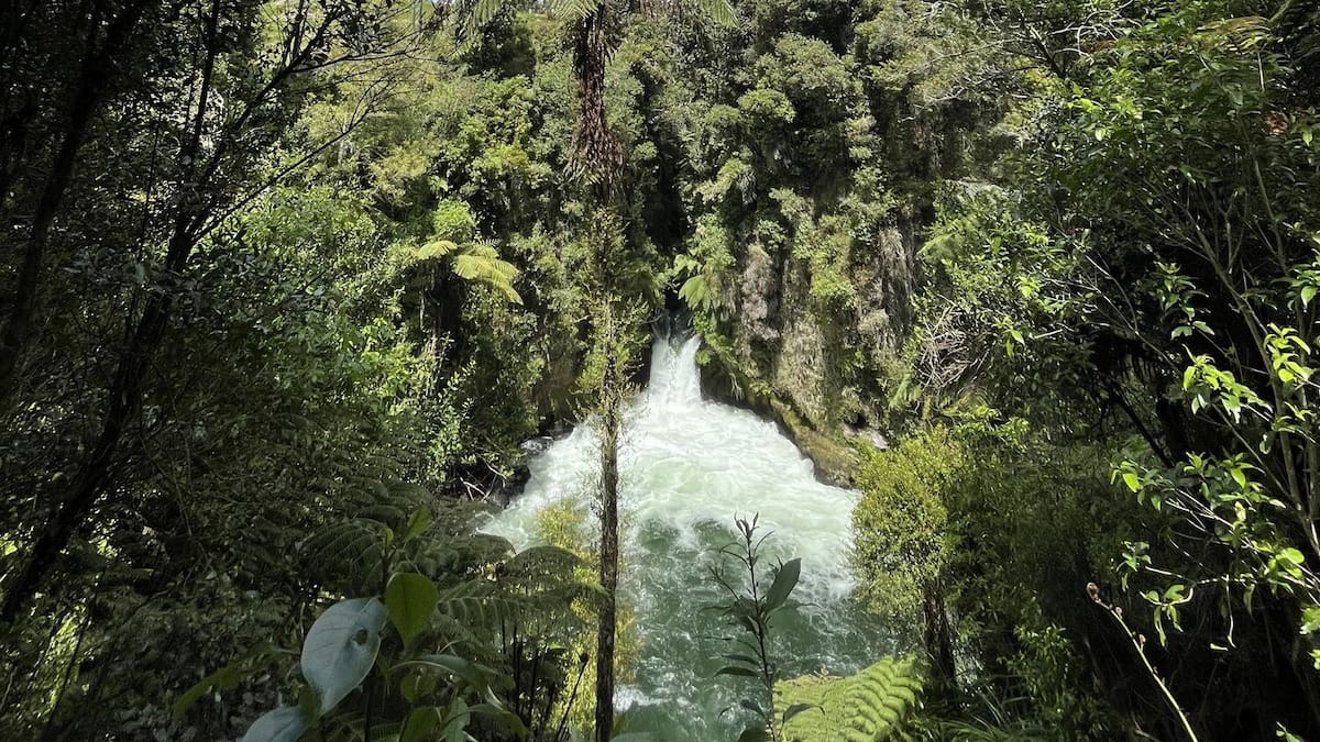 Rotorua whitewater rafting death: Coroner releases findings in Vivienne Pincott case