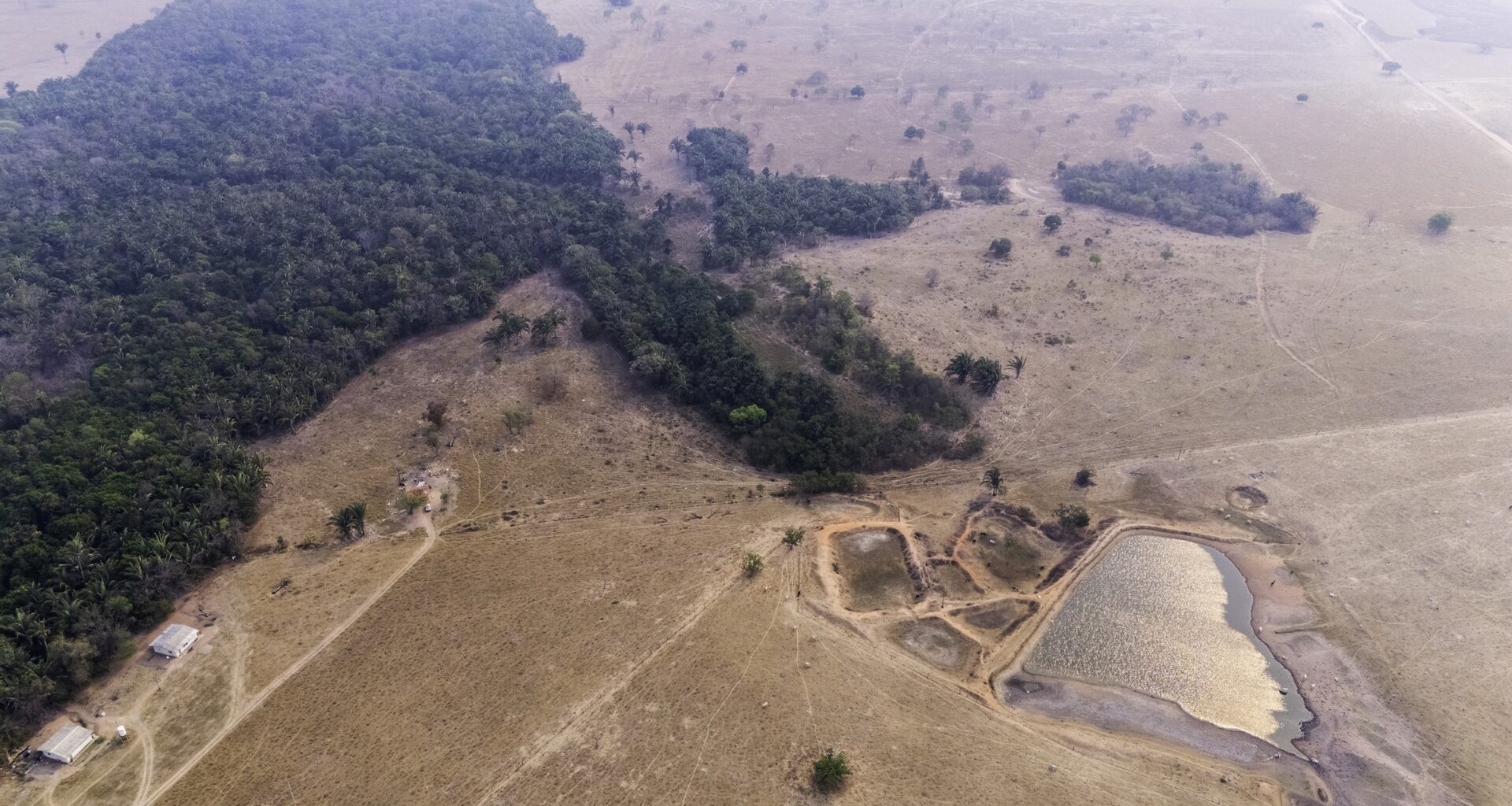 In Brazil, regenerative farming advances, but deforestation still pressures ecosystems