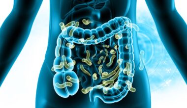 Research spotlights microbiota modulation by protein source