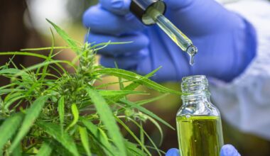 David Seymour eyes wine-style export boom in medicinal cannabis industry