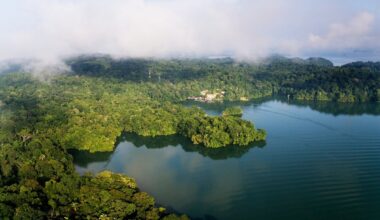 Barro Colorado Island, Panama Canal