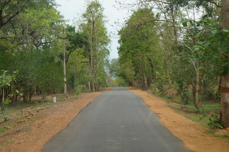 Achanakmar Tiger Reserve landscape in Chhattisgarh. The reserve forms part of a wider Central Indian network of forest corridors connecting several tiger habitats. Image by Ramajack007 via Wikimedia Commons (CC BY-SA 4.0).
