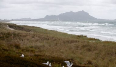 Orange heavy rain warning for Northland: Up to 250mm of rain, flooding risk, strong winds forecast
